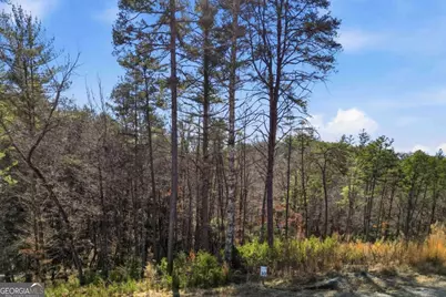 0 Mountain Laurel, Mineral Bluff, GA 30559 - Photo 7