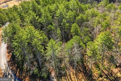 0 Mountain Laurel, Mineral Bluff, GA 30559 - Photo 17