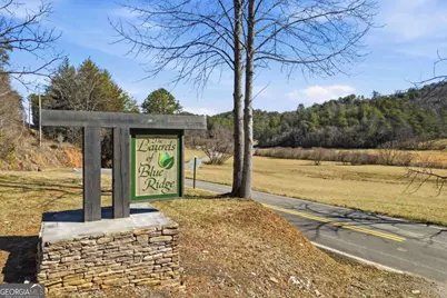 0 Mountain Laurel, Mineral Bluff, GA 30559 - Photo 5