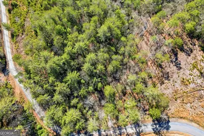 0 Mountain Laurel, Mineral Bluff, GA 30559 - Photo 15