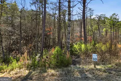 0 Mountain Laurel, Mineral Bluff, GA 30559 - Photo 13