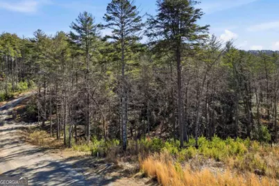 0 Mountain Laurel, Mineral Bluff, GA 30559 - Photo 9