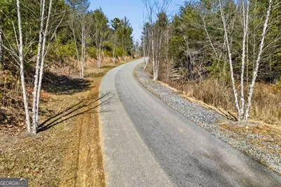 0 Mountain Laurel, Mineral Bluff, GA 30559 - Photo 3