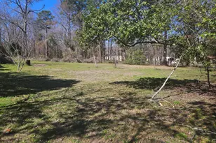 401 E Ogeechee St, Sylvania, GA 30467 - Photo 21