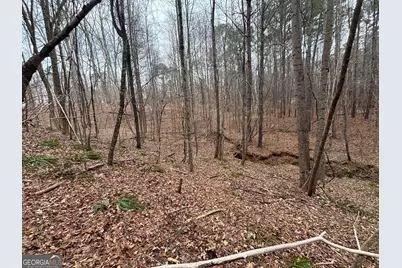 0 Oconee Rd Lot 1, Buckhead, GA 30625 - Photo 5