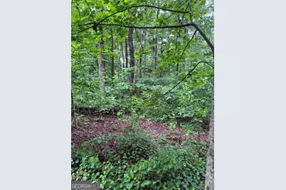 0 Scales Creek Road, Homer, GA 30547 - Photo 11