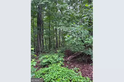 0 Scales Creek Road, Homer, GA 30547 - Photo 15