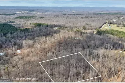0 Scales Creek Road, Homer, GA 30547 - Photo 5