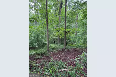 0 Scales Creek Road, Homer, GA 30547 - Photo 13