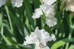 180 Sycamore Bend, Fayetteville, GA 30214 - Photo 31