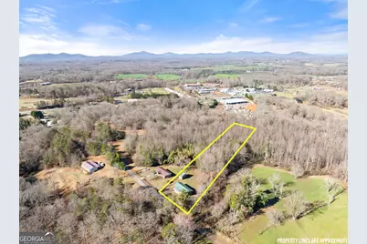431 Clover Leaf Road, Cleveland, GA 30528 - Photo 3
