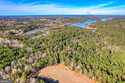 1138 Ben Lane, Lincolnton, GA 30817 - Photo 15