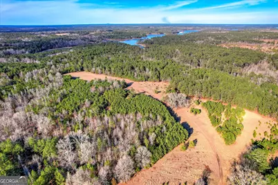 1138 Ben Lane, Lincolnton, GA 30817 - Photo 13