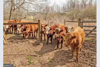 1363 McFarlin Bridge Road, Carnesville, GA 30521 - Photo 57