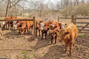 1363 McFarlin Bridge Rd, Carnesville, GA 30521 - Photo 57