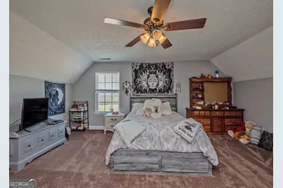 1363 McFarlin Bridge Road, Carnesville, GA 30521 - Photo 25