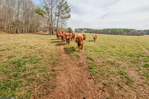 1363 McFarlin Bridge Rd, Carnesville, GA 30521 - Photo 59