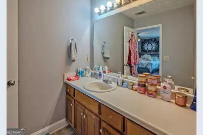 1363 McFarlin Bridge Road, Carnesville, GA 30521 - Photo 21