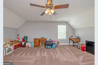 1363 McFarlin Bridge Road, Carnesville, GA 30521 - Photo 27