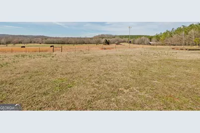 1363 McFarlin Bridge Road, Carnesville, GA 30521 - Photo 51