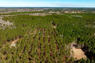 1401 Messex Rd, Millen, GA 30442 - Photo 1