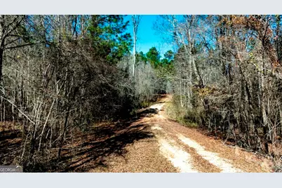 1401 Messex Road, Millen, GA 30442 - Photo 45