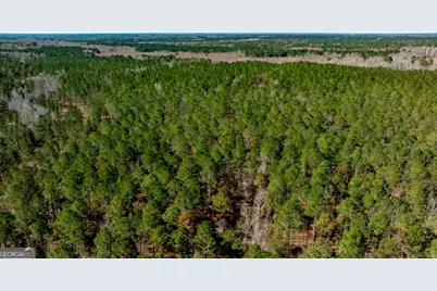 1401 Messex Road, Millen, GA 30442 - Photo 47