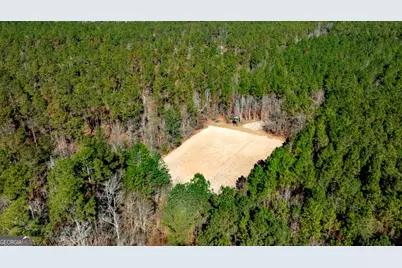 1401 Messex Road, Millen, GA 30442 - Photo 3