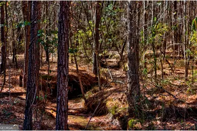 1401 Messex Road, Millen, GA 30442 - Photo 29