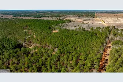 1401 Messex Road, Millen, GA 30442 - Photo 49