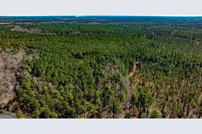 1401 Messex Road, Millen, GA 30442 - Photo 5