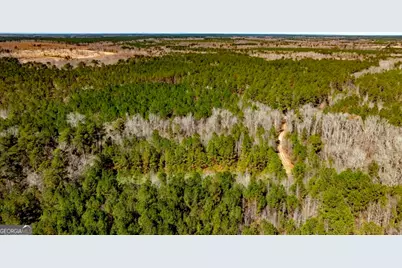 1401 Messex Road, Millen, GA 30442 - Photo 25