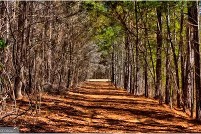 1401 Messex Road, Millen, GA 30442 - Photo 39