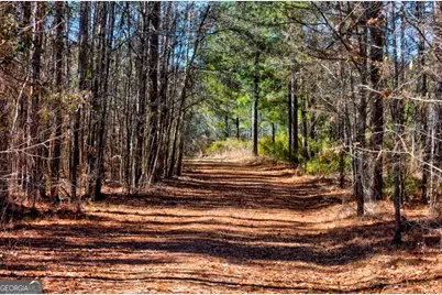 1401 Messex Road, Millen, GA 30442 - Photo 43