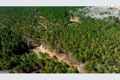 1401 Messex Road, Millen, GA 30442 - Photo 17