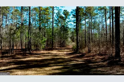 1401 Messex Road, Millen, GA 30442 - Photo 37