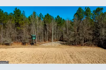 1401 Messex Road, Millen, GA 30442 - Photo 27