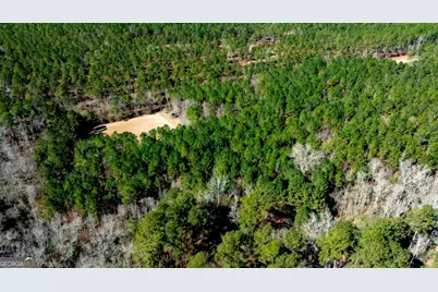 1401 Messex Road, Millen, GA 30442 - Photo 33