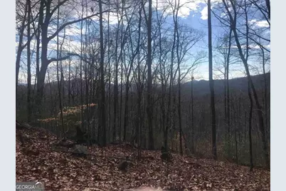 0 Shadow Mountain, Dillard, GA 30537 - Photo 5