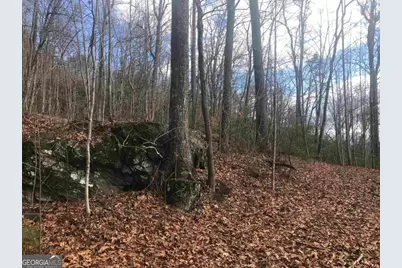 0 Shadow Mountain, Dillard, GA 30537 - Photo 3