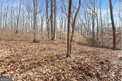 5011 Weaver Road, Gainesville, GA 30507 - Photo 61
