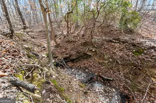 5011 Weaver Rd, Gainesville, GA 30507 - Photo 59