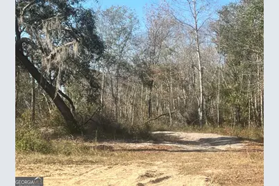 9.59 Ac Jarriel's Bridge Spur Road, Collins, GA 30421 - Photo 3