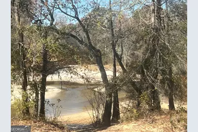 9.59 Ac Jarriel's Bridge Spur Road, Collins, GA 30421 - Photo 5