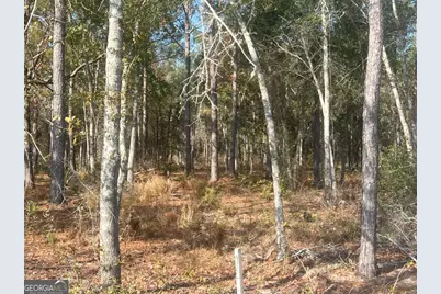 9.59 Ac Jarriel's Bridge Spur Road, Collins, GA 30421 - Photo 1