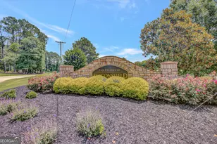 71 Saddleback Ledge Way, Sharpsburg, GA 30277 - Photo 65