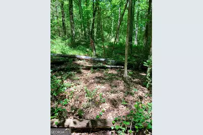 0 S Tanglewood Drive, Royston, GA 30662 - Photo 3