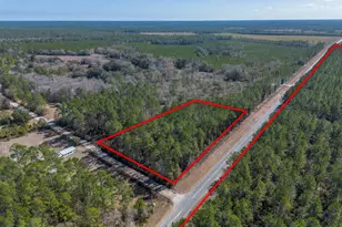 12321 Hwy 185, Saint George, GA 31562 - Photo 7