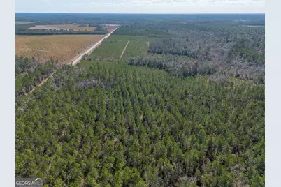 12321 Highway 185, Saint George, GA 31562 - Photo 47