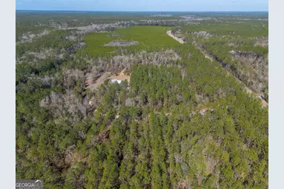 12321 Highway 185, Saint George, GA 31562 - Photo 19